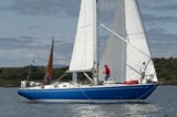 reindeer 4300c whyw24 sun 800 5438
